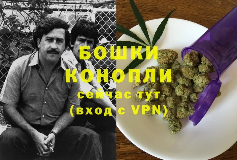 Конопля Bruce Banner  Новосиль 